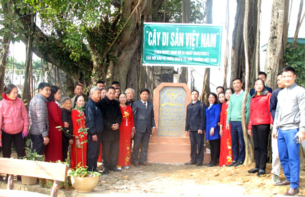 Lễ[-]công[-]nhận[-]Cây[-]Di[-]sản[-]Việt[-]Nam[-]đầu[-]Xuân[-]Quý[-]Mão